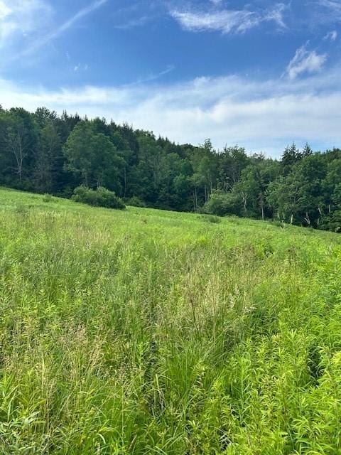 85 Crawford Rd, Hamden, NY 13782 - photo 8