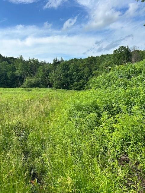 85 Crawford Rd, Hamden, NY 13782 - photo 11