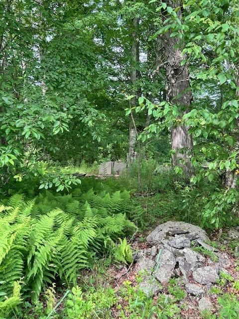 85 Crawford Rd, Hamden, NY 13782 - photo 13