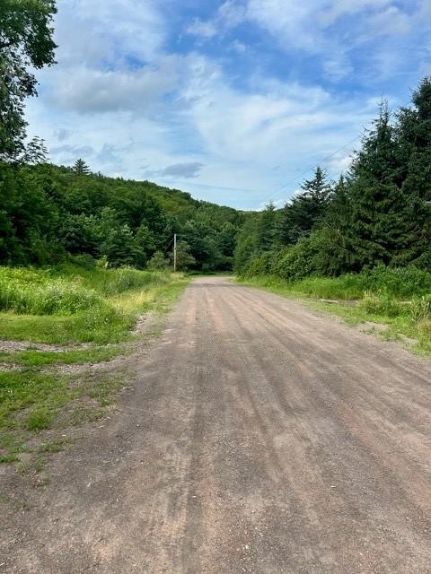 85 Crawford Rd, Hamden, NY 13782 - photo 14
