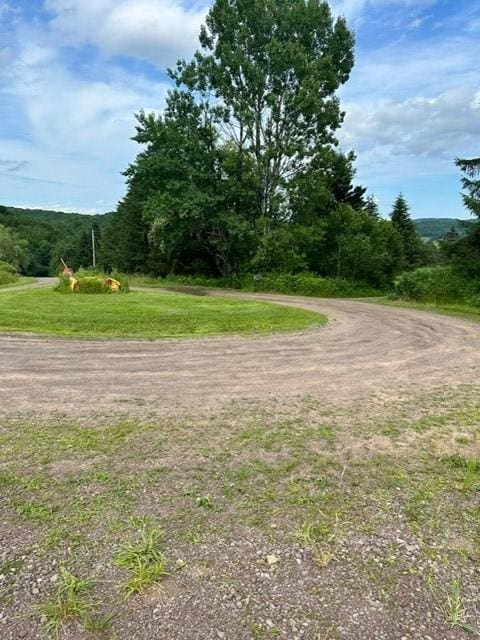 85 Crawford Rd, Hamden, NY 13782 - photo 16