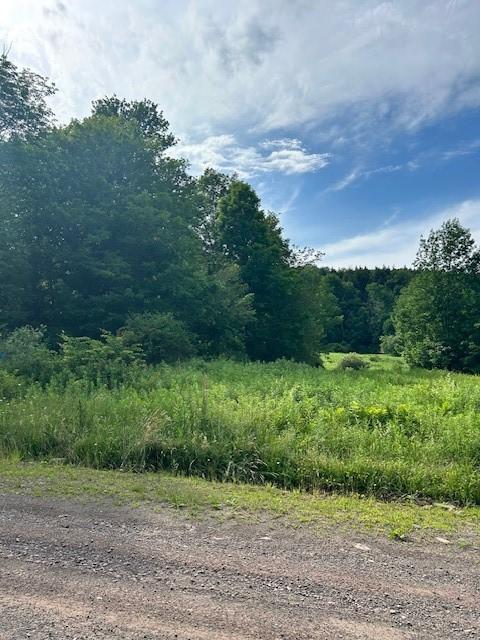 85 Crawford Rd, Hamden, NY 13782 - photo 17