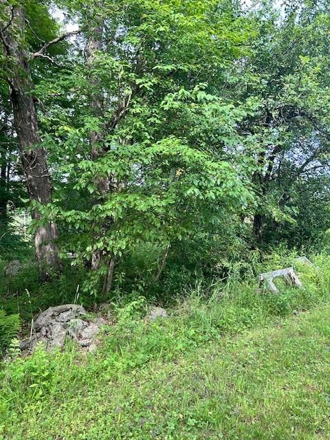 85 Crawford Rd, Hamden, NY 13782 - photo 19