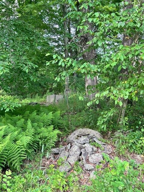 85 Crawford Rd, Hamden, NY 13782 - photo 20