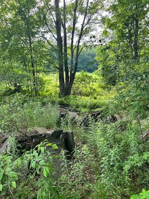 85 Crawford Rd, Hamden, NY 13782 - photo 24