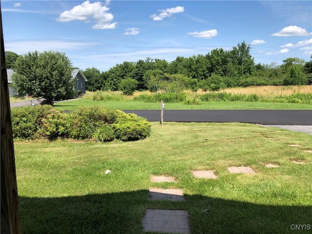 7449 Emi Ln, Lowville, NY 13367 - photo 25