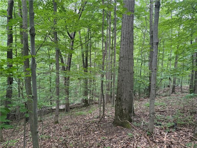 10549 Short Tract Rd, Portage, NY 14517 - photo 10