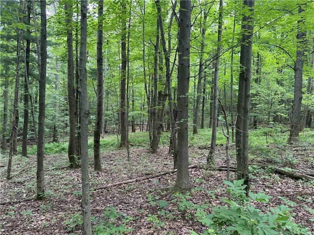 10549 Short Tract Rd, Portage, NY 14517 - photo 13