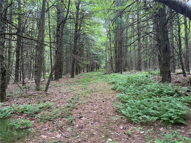 10549 Short Tract Rd, Portage, NY 14517 - photo 15