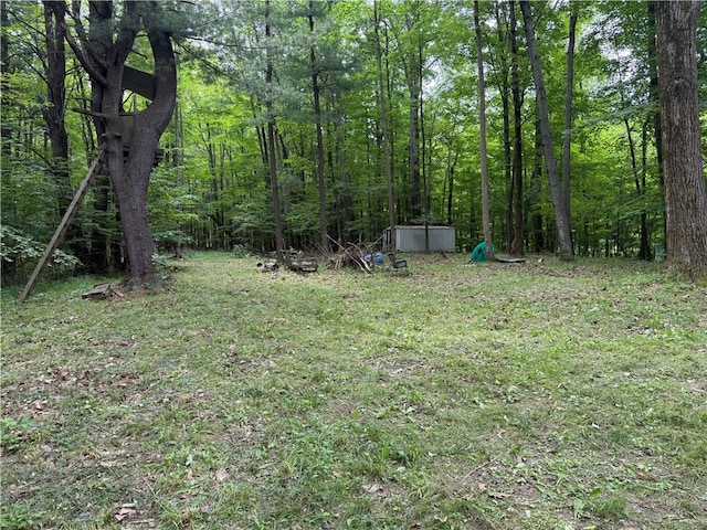 10549 Short Tract Rd, Portage, NY 14517 - photo 16