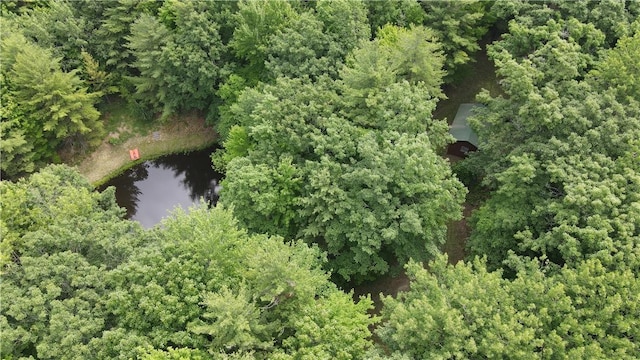 10549 Short Tract Rd, Portage, NY 14517 - photo 18