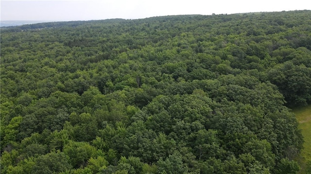 10549 Short Tract Rd, Portage, NY 14517 - photo 19