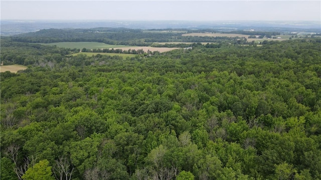 10549 Short Tract Rd, Portage, NY 14517 - photo 20