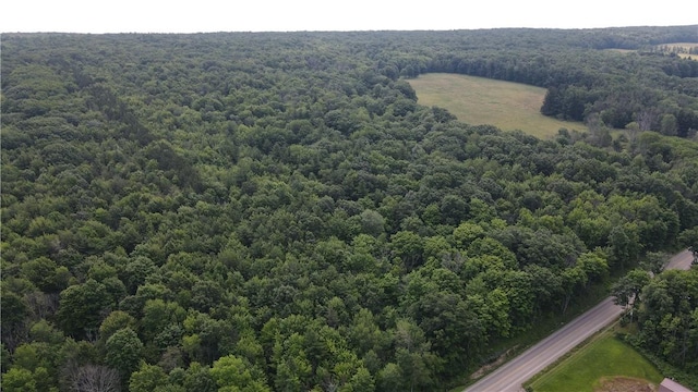 10549 Short Tract Rd, Portage, NY 14517 - photo 24