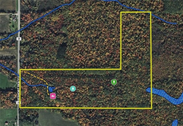 10549 Short Tract Rd, Portage, NY 14517 - photo 27
