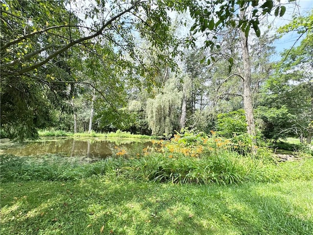 4206 Railroad St, Skaneateles, NY 13152 - photo 3