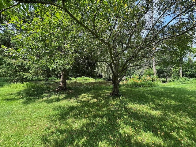 4206 Railroad St, Skaneateles, NY 13152 - photo 18