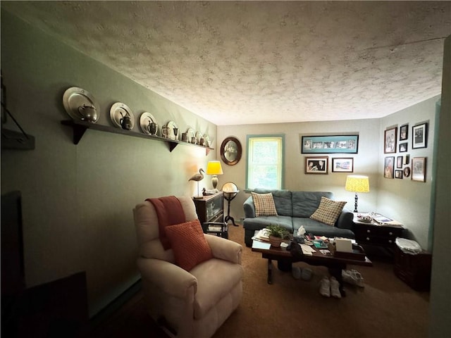 4206 Railroad St, Skaneateles, NY 13152 - photo 12