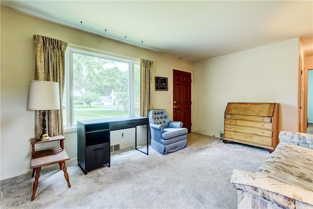29 Country Ln, Penfield, NY 14526 - photo 12