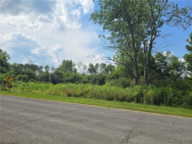 000 Lamphear Rd, Rome, NY 13440 - photo 3