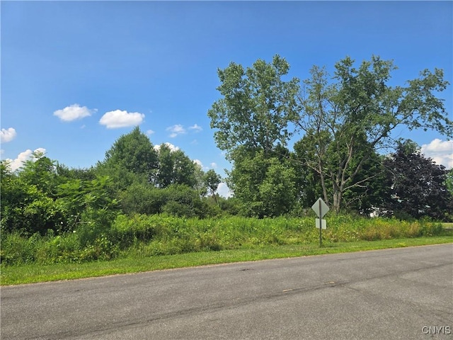 000 Lamphear Rd, Rome, NY 13440 - photo 1