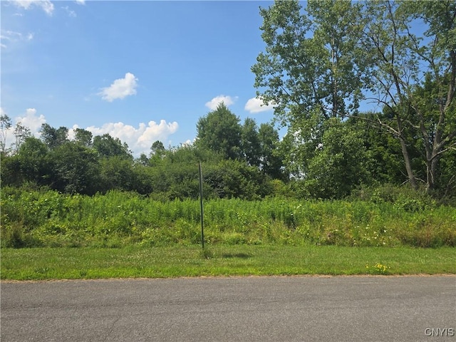 000 Lamphear Rd, Rome, NY 13440 - photo 5
