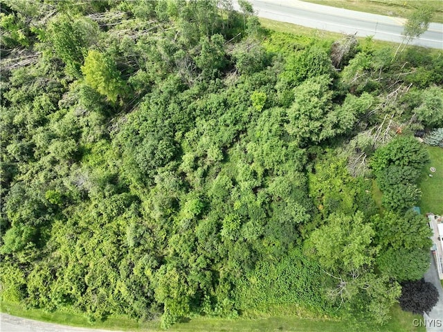 000 Lamphear Rd, Rome, NY 13440 - photo 2