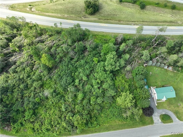 000 Lamphear Rd, Rome, NY 13440 - photo 4