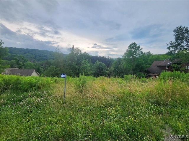 6843 Springs Rd, Ellicottville, NY 14731 - photo 1