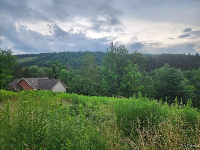 6843 Springs Rd, Ellicottville, NY 14731 - photo 3