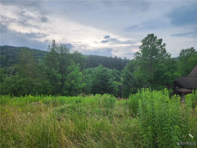 6843 Springs Rd, Ellicottville, NY 14731 - photo 4