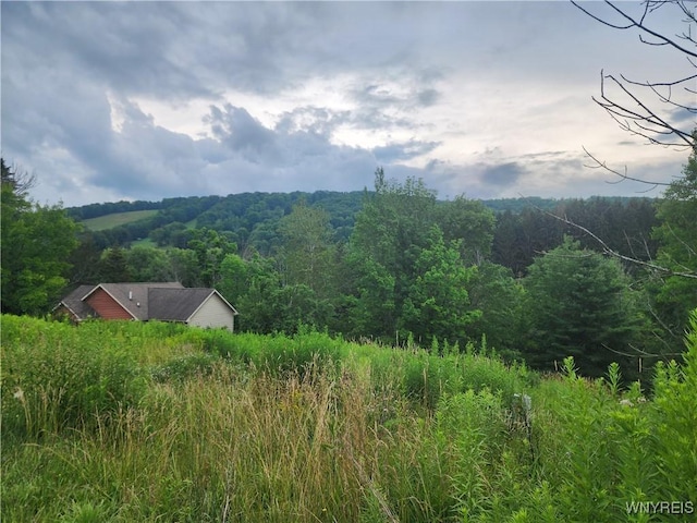 6843 Springs Rd, Ellicottville, NY 14731 - photo 5