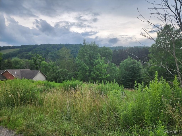6843 Springs Rd, Ellicottville, NY 14731 - photo 6