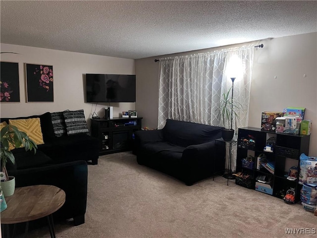 169 Warner Rd Unit 167, Lancaster, NY 14043 - photo 21