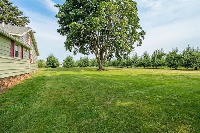 3456 Shepherd Rd, Williamson, NY 14589 - photo 29