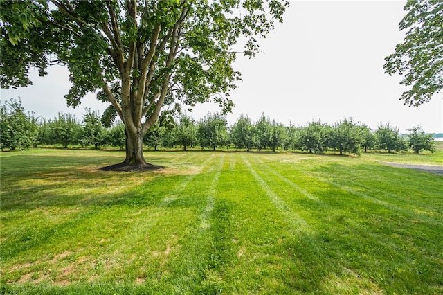 3456 Shepherd Rd, Williamson, NY 14589 - photo 30