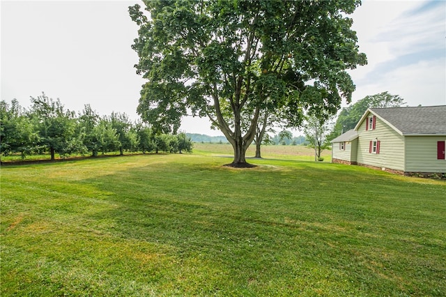 3456 Shepherd Rd, Williamson, NY 14589 - photo 31