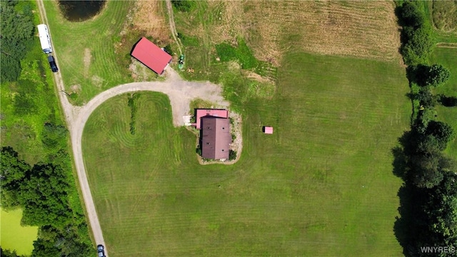 10130 Waite Hollow Rd, New Albion, NY 14719 - photo 50