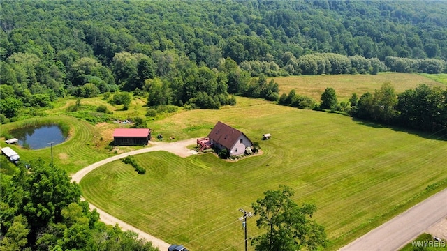 10130 Waite Hollow Rd, New Albion, NY 14719 - photo 43