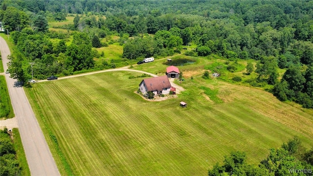 10130 Waite Hollow Rd, New Albion, NY 14719 - photo 45