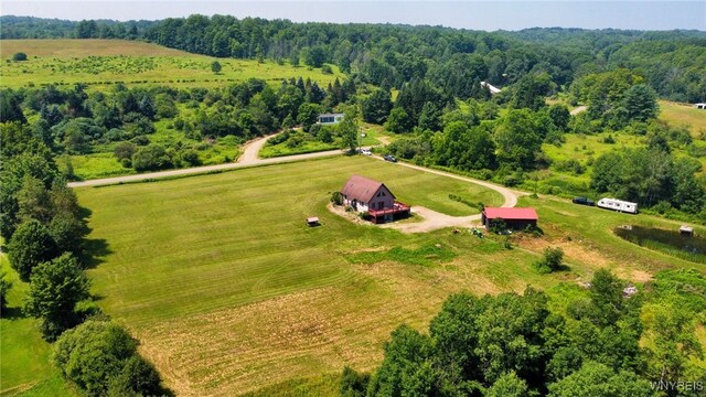 10130 Waite Hollow Rd, New Albion, NY 14719 - photo 46