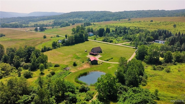 10130 Waite Hollow Rd, New Albion, NY 14719 - photo 42