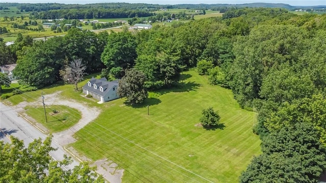 7786 State Route 5 And 20, East Bloomfield, NY 14469 - photo 24