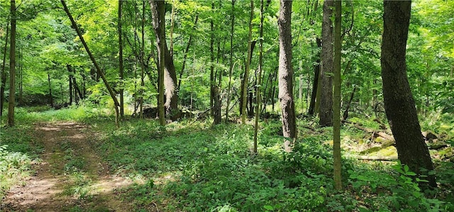 00 Hulberton Rd, Murray, NY 14470 - photo 6