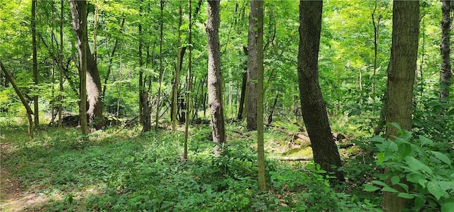 00 Hulberton Rd, Murray, NY 14470 - photo 7