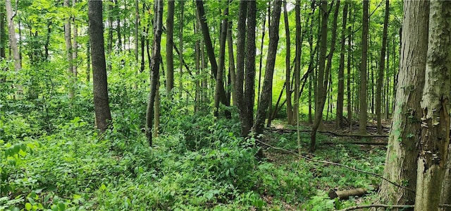 00 Hulberton Rd, Murray, NY 14470 - photo 9