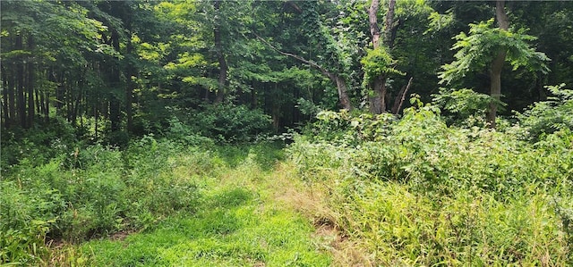 00 Hulberton Rd, Murray, NY 14470 - photo 10