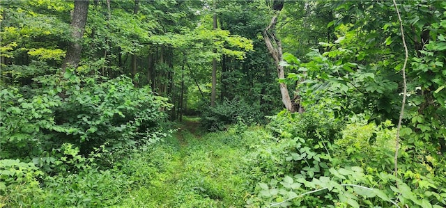 00 Hulberton Rd, Murray, NY 14470 - photo 11
