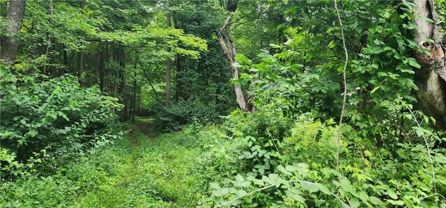00 Hulberton Rd, Murray, NY 14470 - photo 12