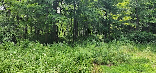 00 Hulberton Rd, Murray, NY 14470 - photo 16